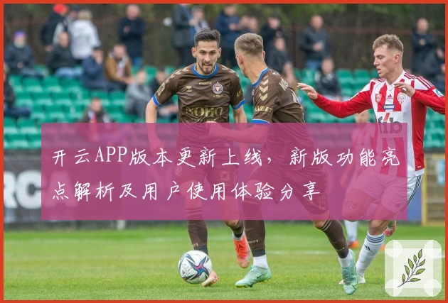 开云APP版本更新上线，新版功能亮点解析及用户使用体验分享